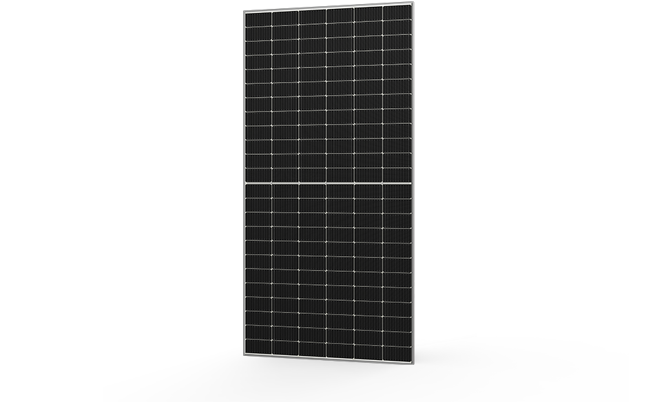 655-665W P-Type 60 Half Cell Monofacial Module